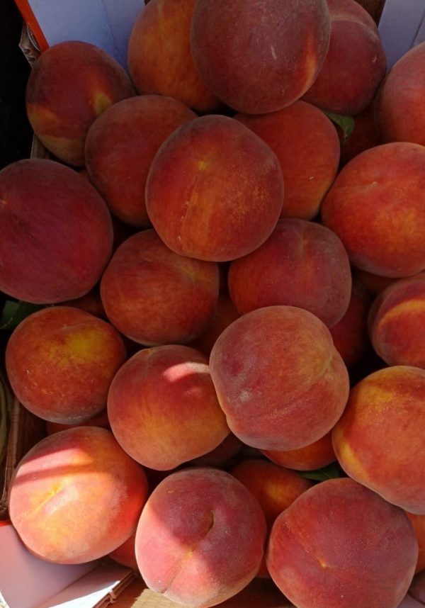 Pesche confezione 8 kg